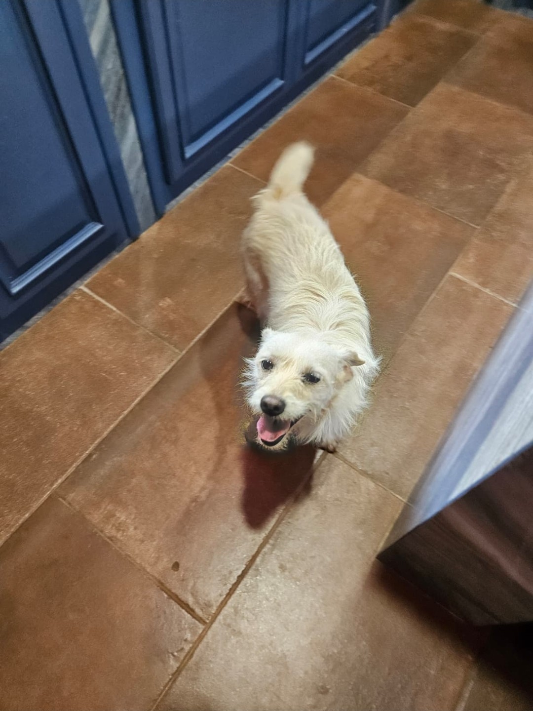 Blanca
