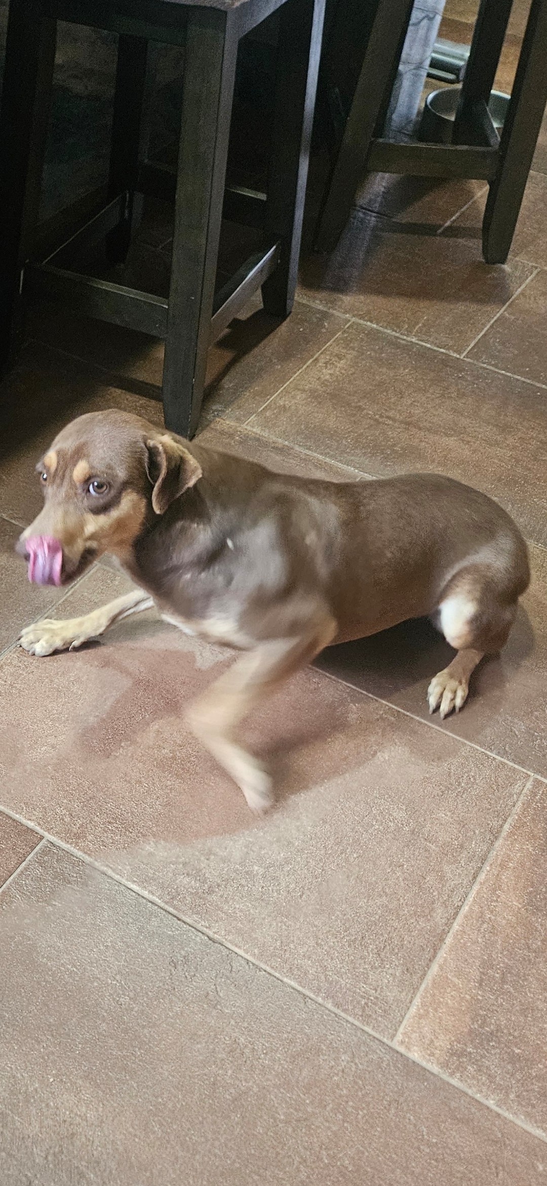 Dobi, photo 3
